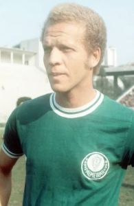 Palmeiras Legend